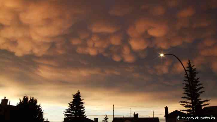 We can expect the sun to show up for the Stampede Parade