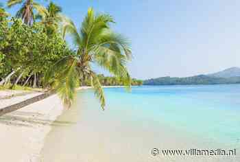 Villamedia's Zomergids met factor Kuifje, Zomergasten, Olympische Spelen en nog veel meer