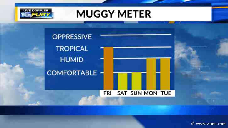 Patchy fog with high humidity on the way