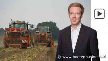 De plantuienmarkt moet zich nog zetten