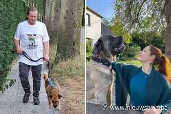 Jurgen trekt met Walk For Animals van Lint naar Schoten: “De laatste dag wandel ik 2 kilometer op hoge hakken”