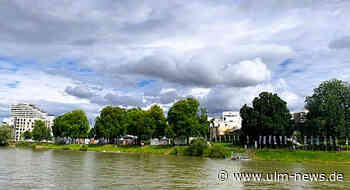 Start Internationales Donaufest – Vorfreude und Insider-Tipps