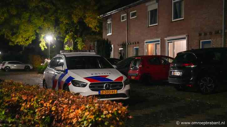 Bewoners van huis overvallen met taser en vuurwapen, jaren cel voor daders