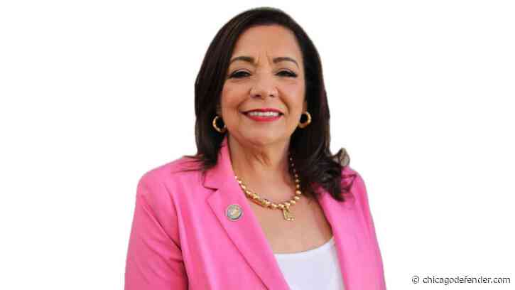 Juvenile Expungement Program Announced by Cook County Clerk Iris Y. Martinez