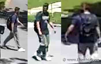 Woman assaulted by stranger with hammer: Kingston Police