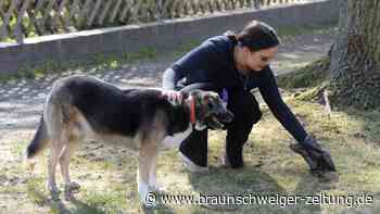 Gemeinde Schladen-Werla fordert vernünftige Hundehaltung