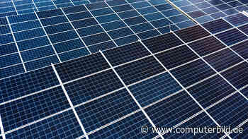 Solarmodul auf Basis von Photosynthese? Würzburger Forschende entwickelt neue Technologie