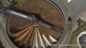 Avebe: 10 procent hogere basisprijs aardappelen