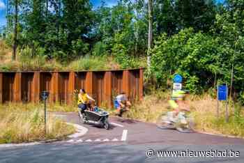 Elke Antwerpenaar op eigen fiets of deelfiets: stad gaat versnelling hoger met aanleg en verbetering van fietspaden en -stallingen