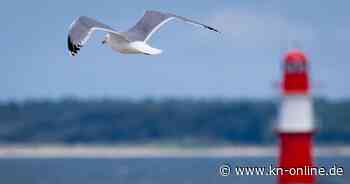 Wetter am Samstag (6.7.2024): Aktuelle Wettervorhersage und 3-Tage-Trend