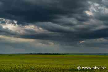 Grondwater staat uitzonderlijk hoog aan het begin van de zomervakantie