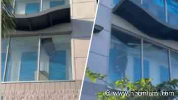 Video shows Homestead storage facility burglar fall through ceiling while trying to flee