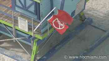 If you see a flag on the beach in Florida, this is what it means