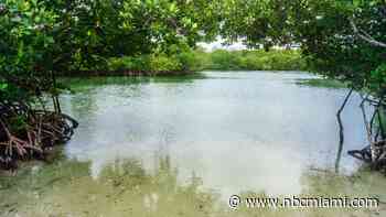 Avoid the water at these locations in Miami-Dade due to bacteria levels