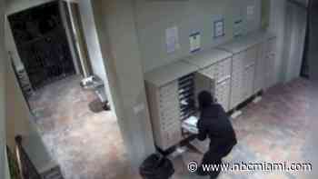 ‘He knew what he was doing': Suspect caught on camera unlocking mailboxes, stealing mail in Plantation