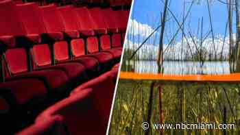 Cuts to arts and millions for Everglades: The winners and losers in DeSantis' new state budget