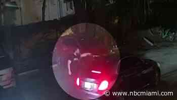 Fort Lauderdale cop fired after accusations of racial slurs, instigating fight