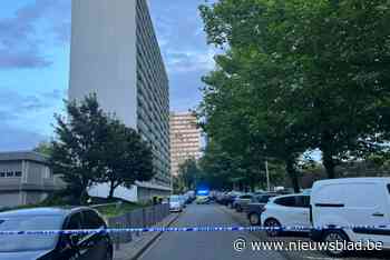 Steekpartij op Linkeroever: slachtoffer in levensgevaar, dader opgepakt