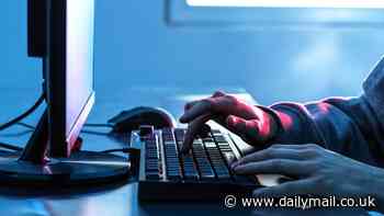 I spent days scrolling through dark web chatrooms - the things I saw were 'sadistic'