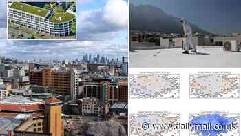 Could white paint save London from climate change? Covering all of the city's roofs with a reflective coating can keep residents cool during a heatwave, study says