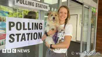 Snake and hunt hounds join pets at polling stations