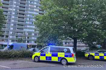 Steekpartij in Antwerpen: 31-jarige man in levensgevaar, verdachte (58) gearresteerd