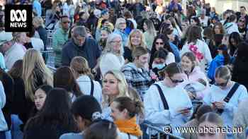 As thousands flock to a 'fast fashion' festival, local labels say they're struggling to stay afloat