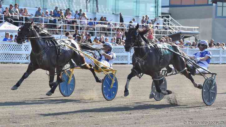 Harness racing driver James MacDonald captures 2024 Canadian driving championship
