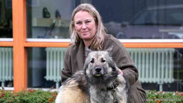 Deze honden hebben iemand gebeten maar krijgen nu een tweede kans