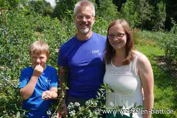 Auf dem Entgelhof in Kirchlengern kann man selber Heidelbeeren ernten