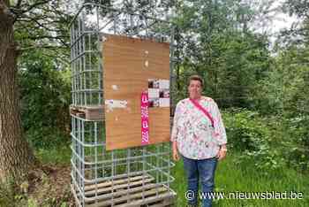 Voor U wil zich lokaal op de kaart zetten: “Eerste zetel binnen halen is al een succes”