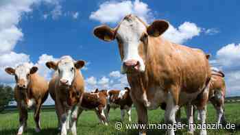 Landwirtschaft: Bundestag beschließt Entlastungen für Bauern