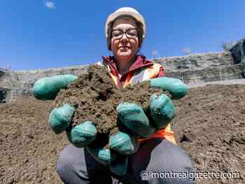 From our toilets to farmers' fields, Montreal's sewage waste is reborn