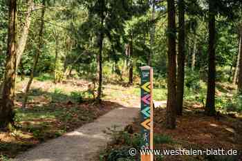 „Green Trail“: Mountainbike-Strecke 2025 auch in Diemelstadt