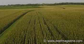 This Week in Agribusiness, July 6, 2024