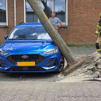 Storm zorgt voor autoschade aan Rietvoorn