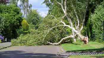 112-nieuws: vrouw gered uit het water • kano's in de problemen in Biesbosch