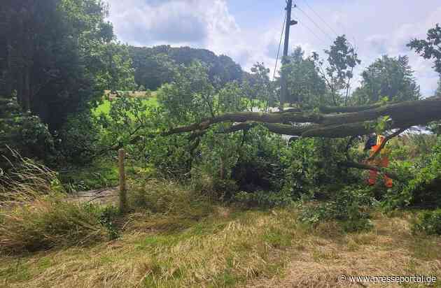 FW Sonsbeck: Drei Einsätze für die Feuerwehr Sonsbeck - Zwei Stromleitungen beschädigt