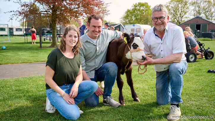 Deze boerderijcamping is niet alleen de beste maar ook de leukste