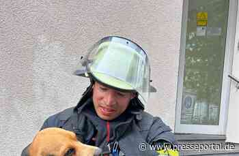 FW Mainz: Feuerwehr Mainz rettet dank aufmerksamer Nachbarn Beagle "Frank" aus verrauchter Wohnung