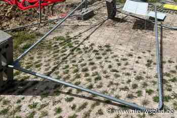 Brandweer krijgt 30-tal oproepen voor stormschade: vooral afgewaaide takken en boompjes