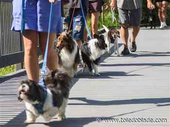 Photo Gallery: B.A.R.K. Ranger program at Ottawa National Wildlife Refuge