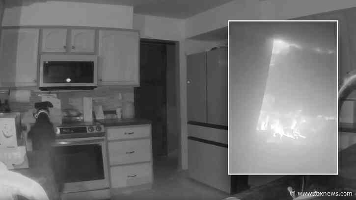 Dog accidentally starts house fire in Colorado