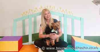 Dorset woman expands dog business into adventure playground