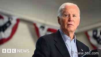 Biden interview fails to quell Democrat concerns over fitness