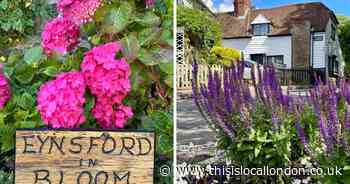 Eynsford Village holds annual In Bloom competition for 2024