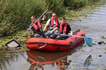Sassenberg: Zahlreiche tote Fische in der Hessel