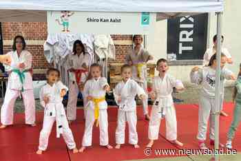 32 sportclubs nemen centrum over met initiaties en demonstraties: “Leuk om andere sporten uit te proberen”