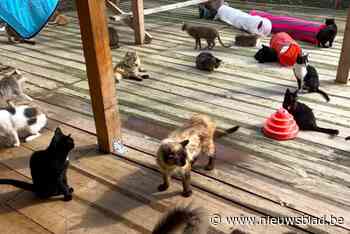 Gemeentelijke subsidie voor initiatieven die het dierenwelzijn bevorderen