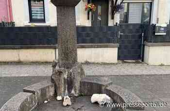 POL-PDTR: Sachbeschädigung am Peter-Roth-Platz